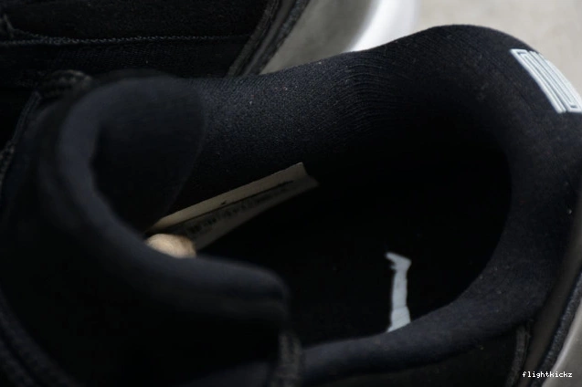 528895-010 Low Jordan 11 
